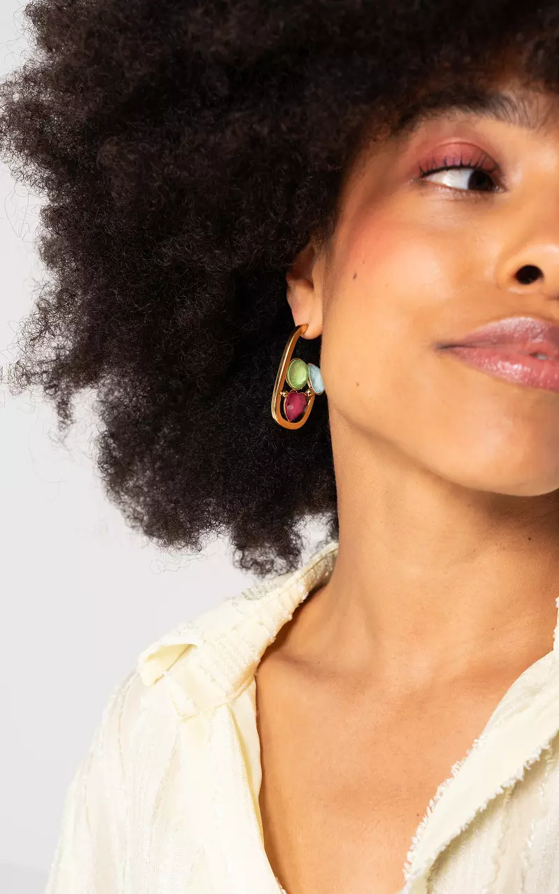 Earrings Gold Multicolor