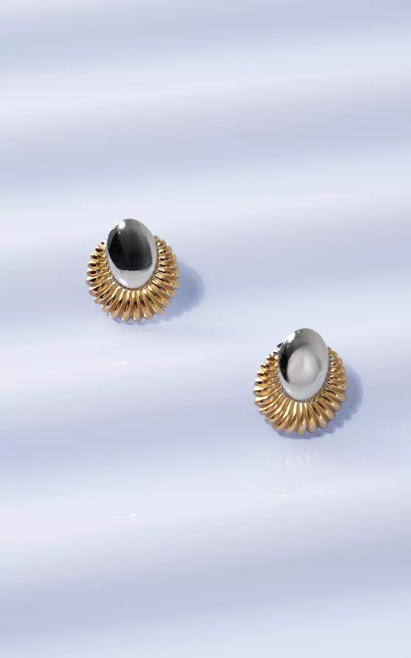 Stainless steel oorbellen Zilver Goud