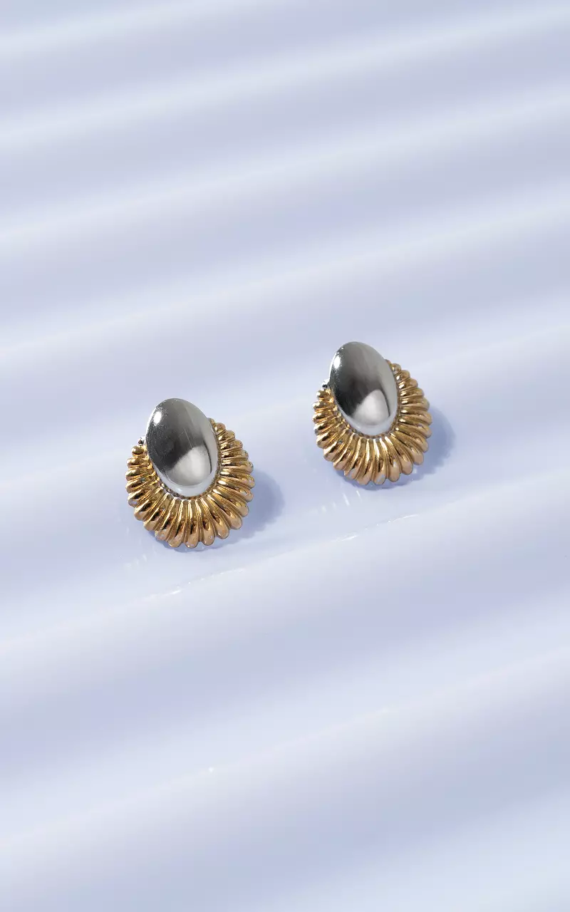 Edelstahl Ohrringe Silber Gold
