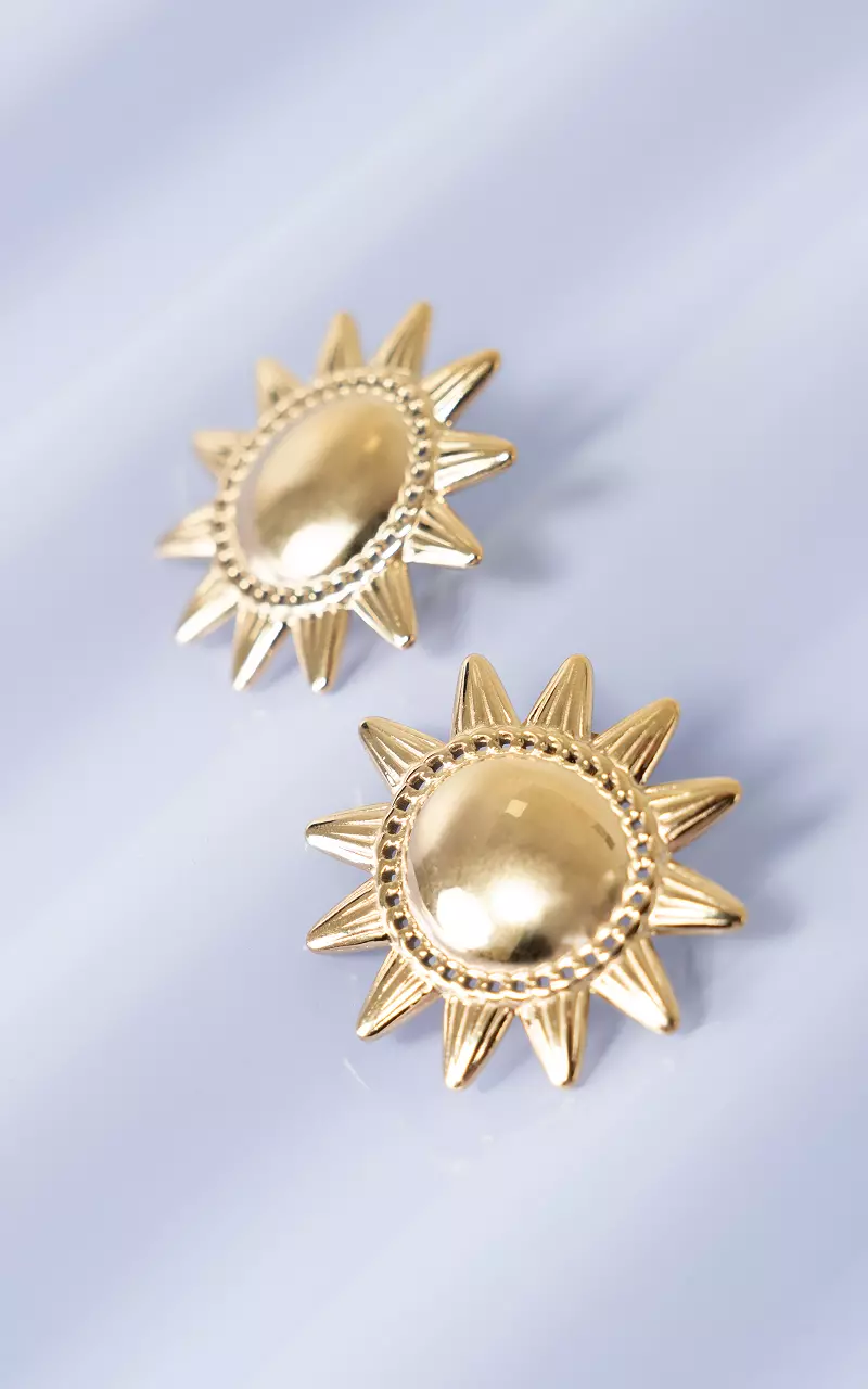 Stainless steel earrings Gold