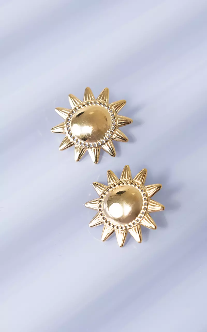 Stainless steel earrings Gold