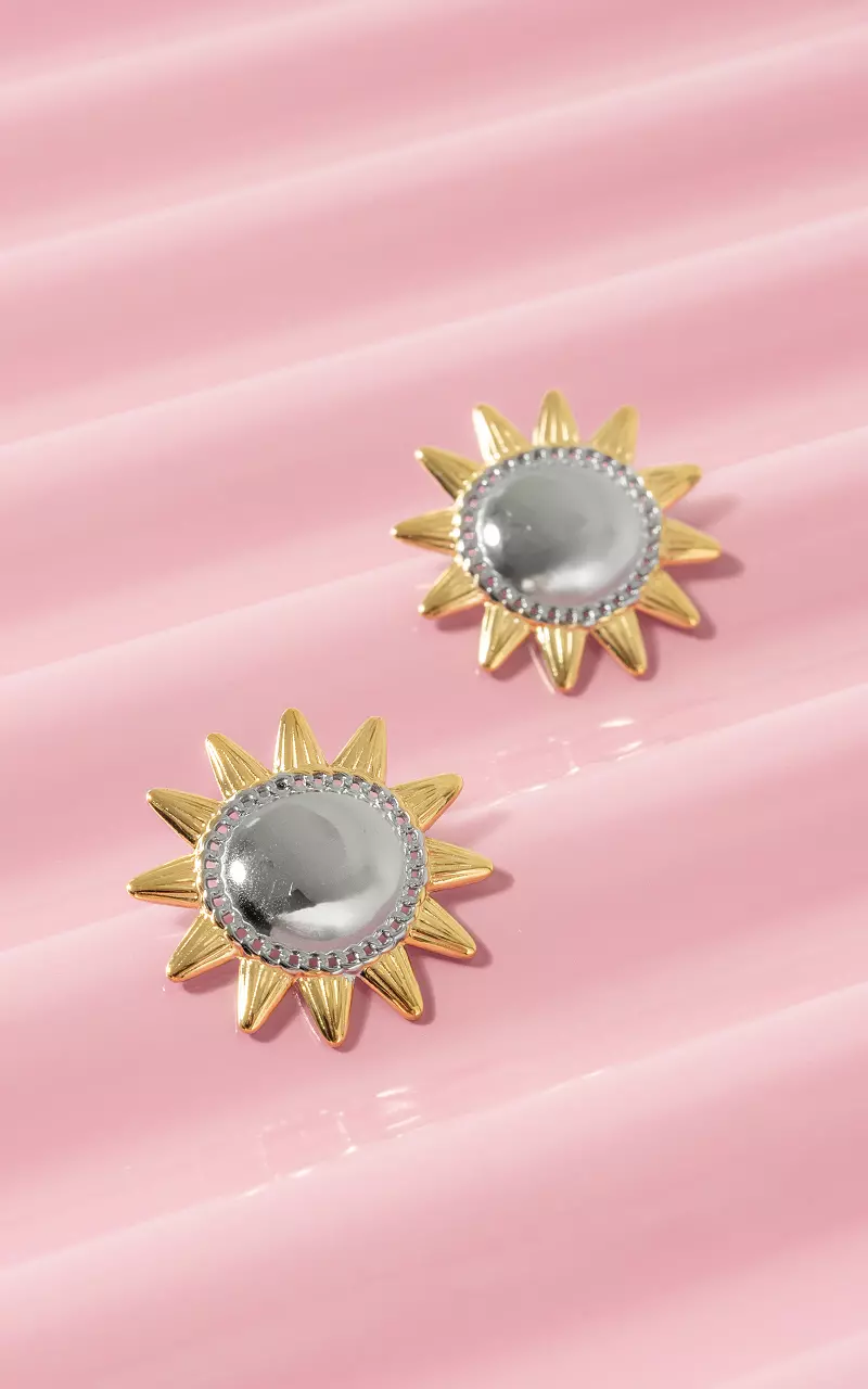 Stainless steel earrings Gold Silver