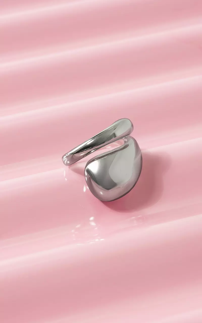 Ring stainless steel Zilver