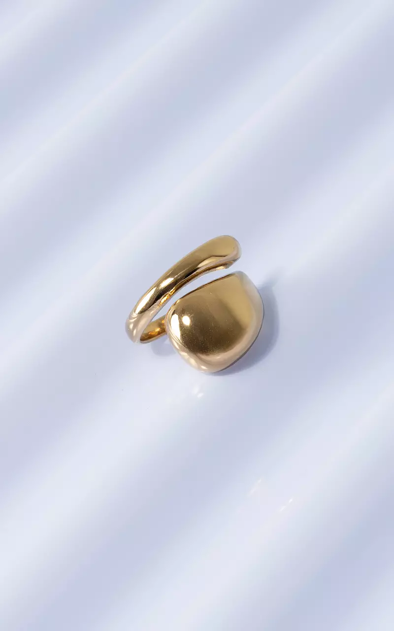 Ring stainless steel Goud