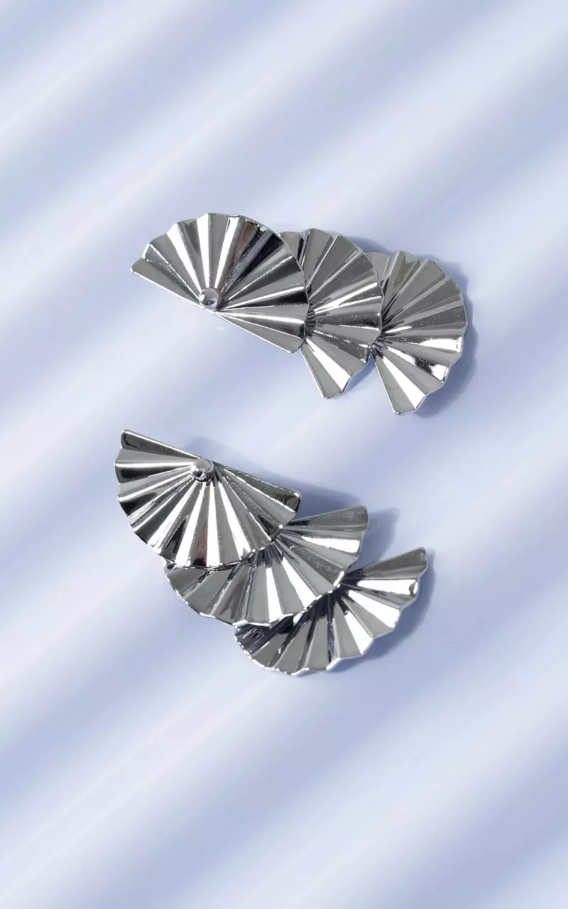 Stainless steel oorbellen Zilver