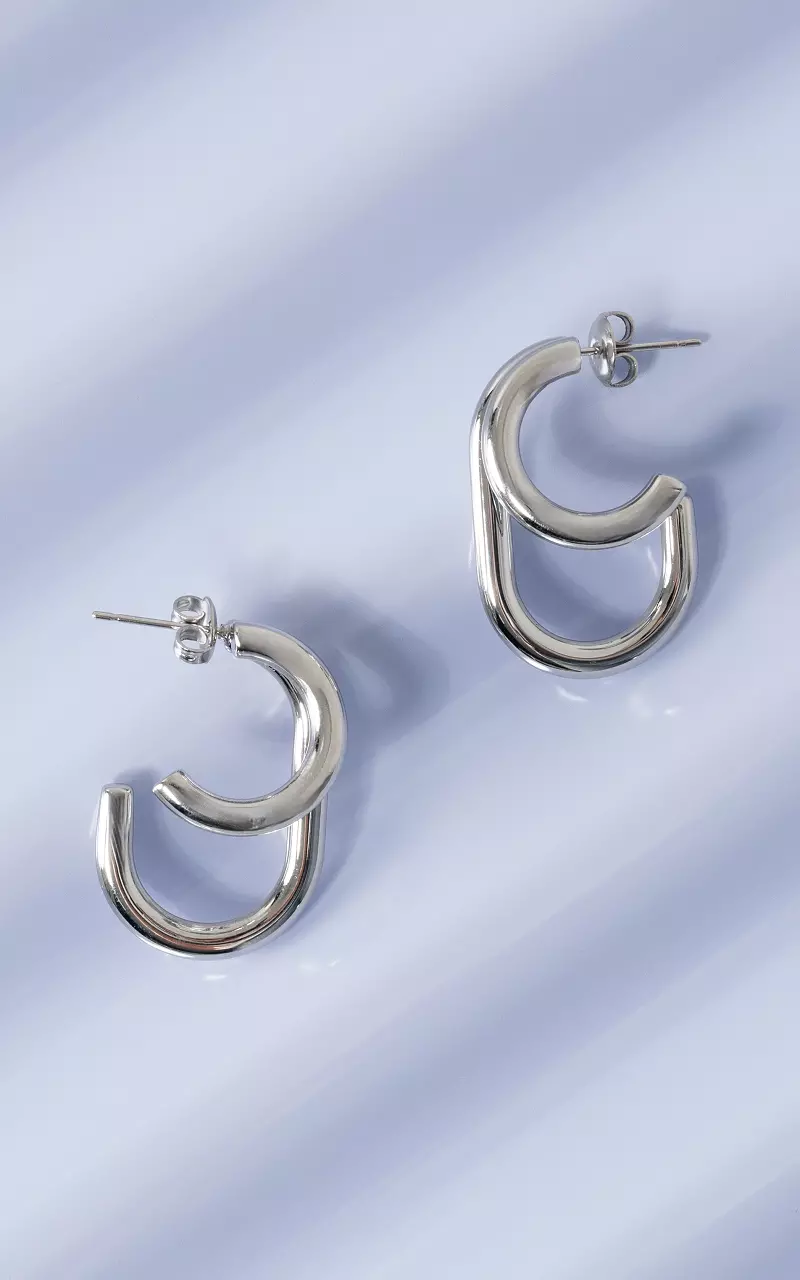 Stainless steel oorbellen Zilver