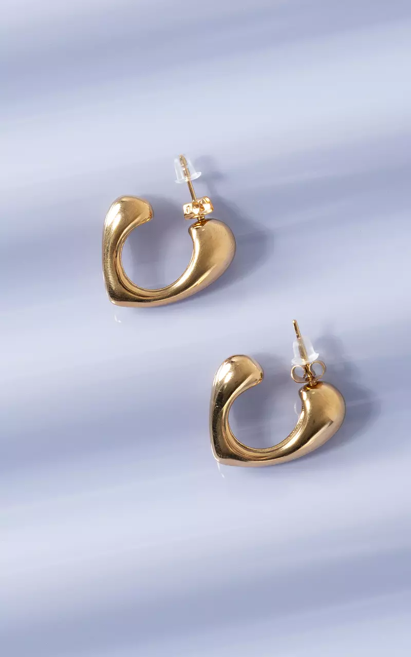 Stainless steel oorbellen Goud