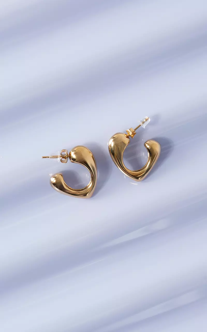 Stainless steel oorbellen Goud