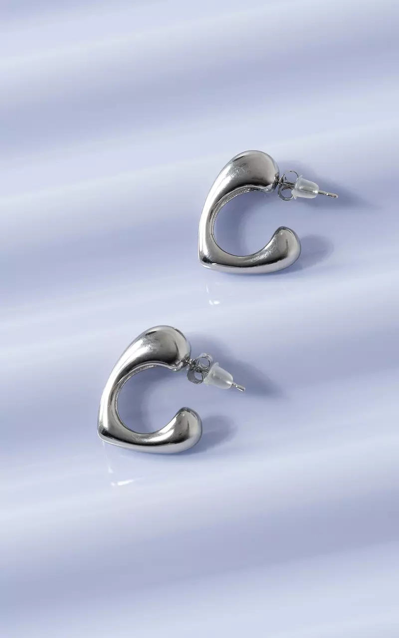 Stainless steel oorbellen Zilver