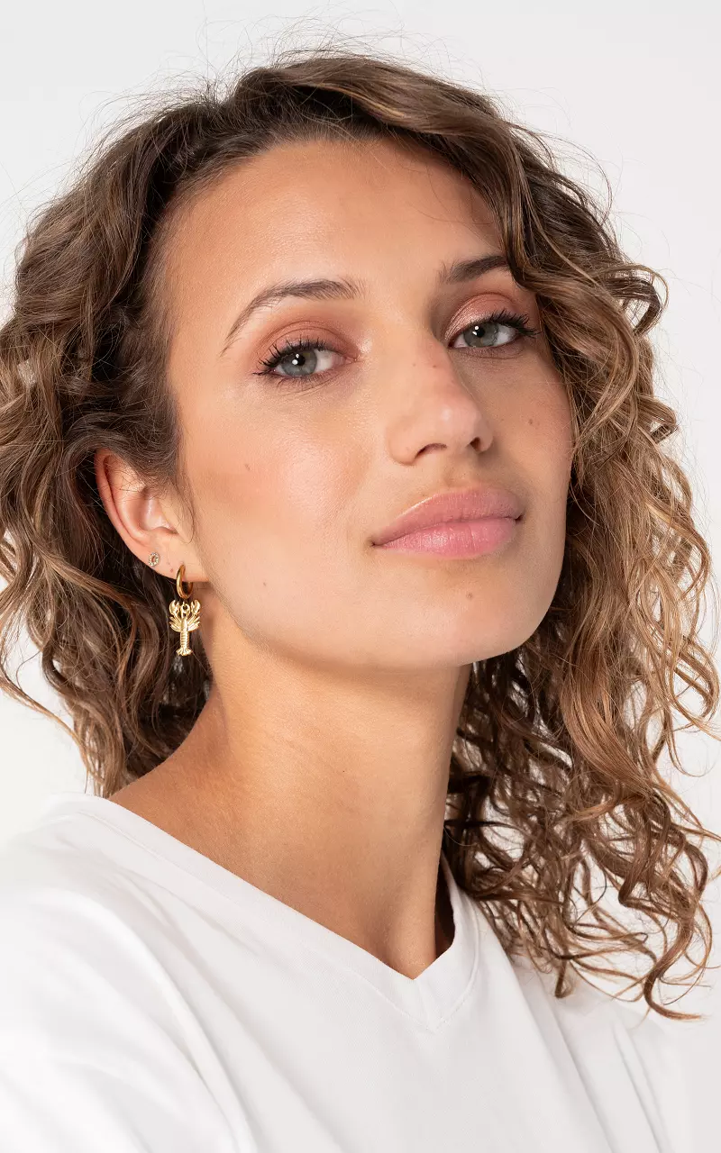 Stainless steel earrings Gold