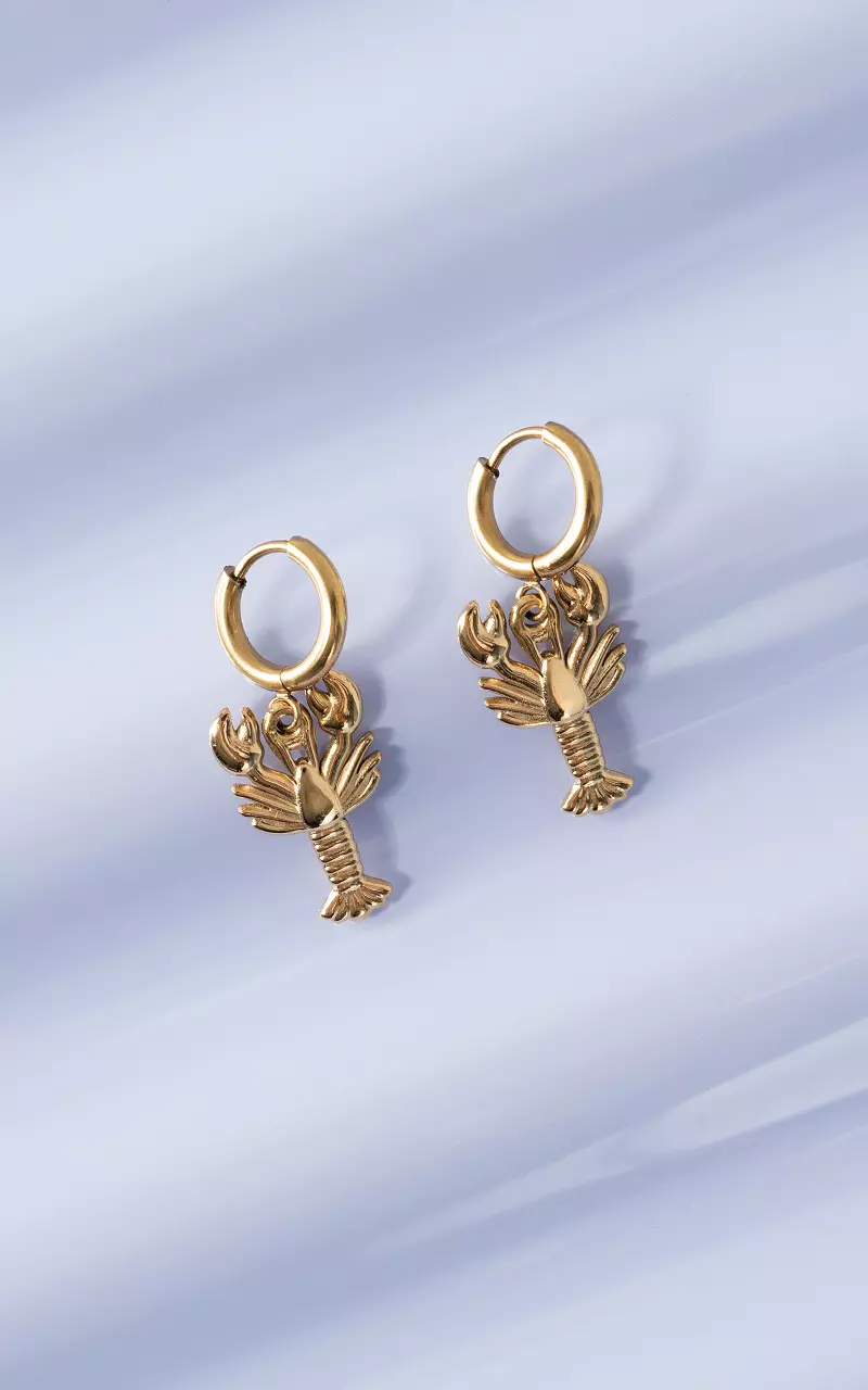 Stainless steel earrings Gold