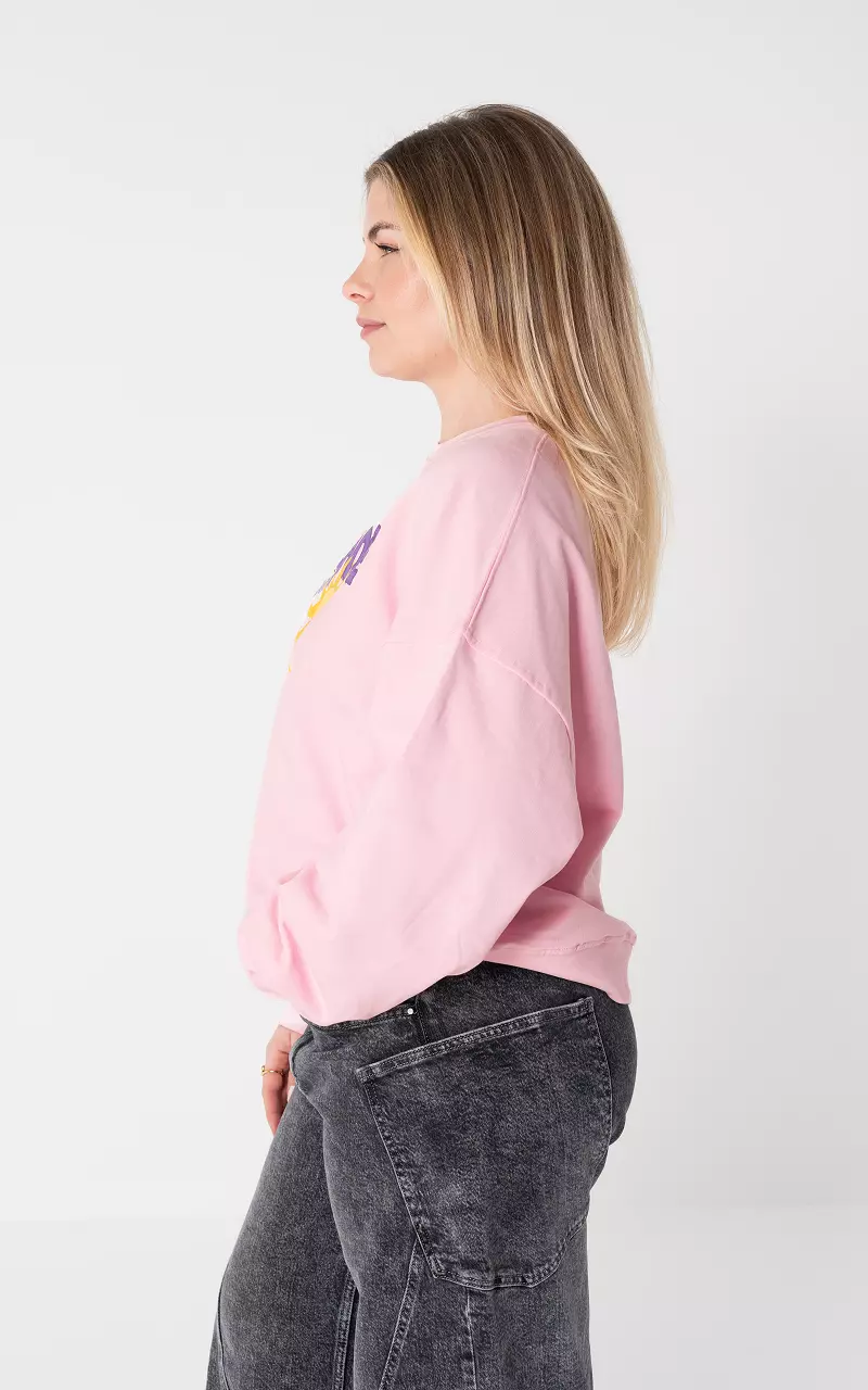 Sweater with print Pink Purple