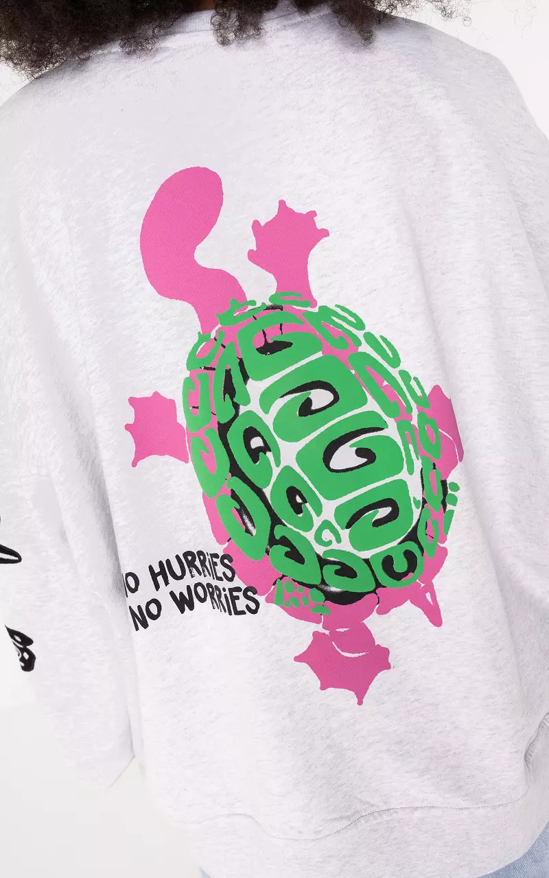 Sweater with print and embroidered details Light Grey