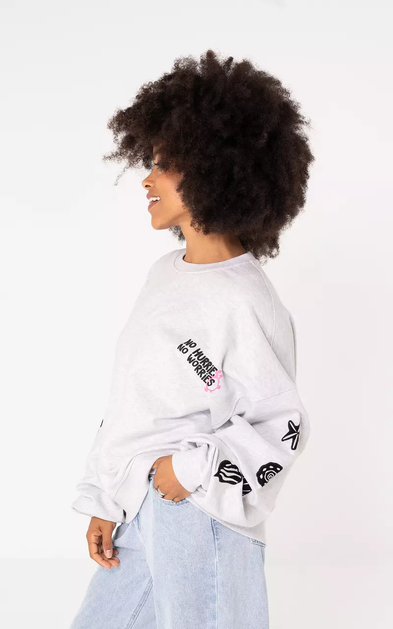 Sweater with print and embroidered details Light Grey