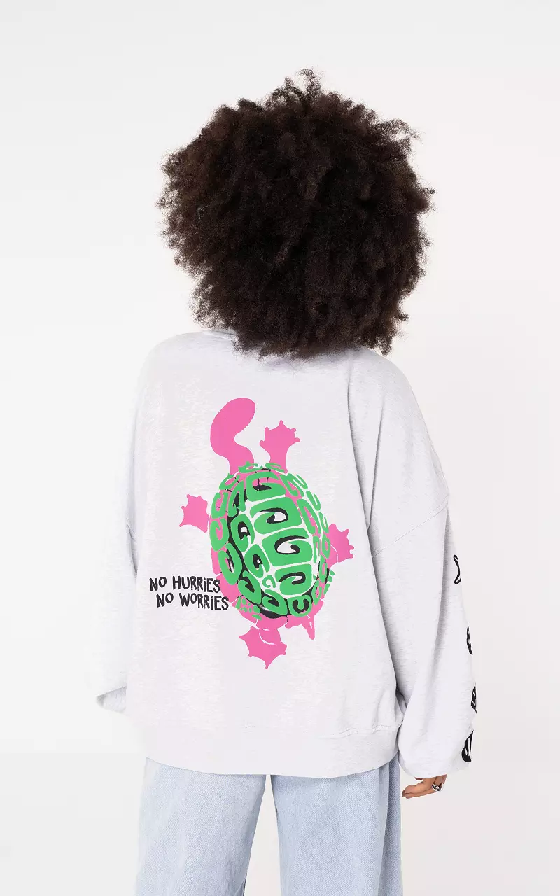 Sweater with print and embroidered details Light Grey