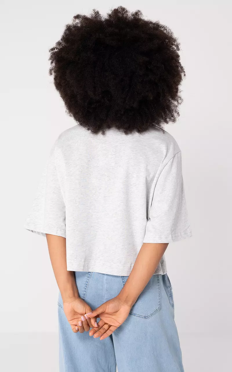 Shirt met v-hals Lichtgrijs