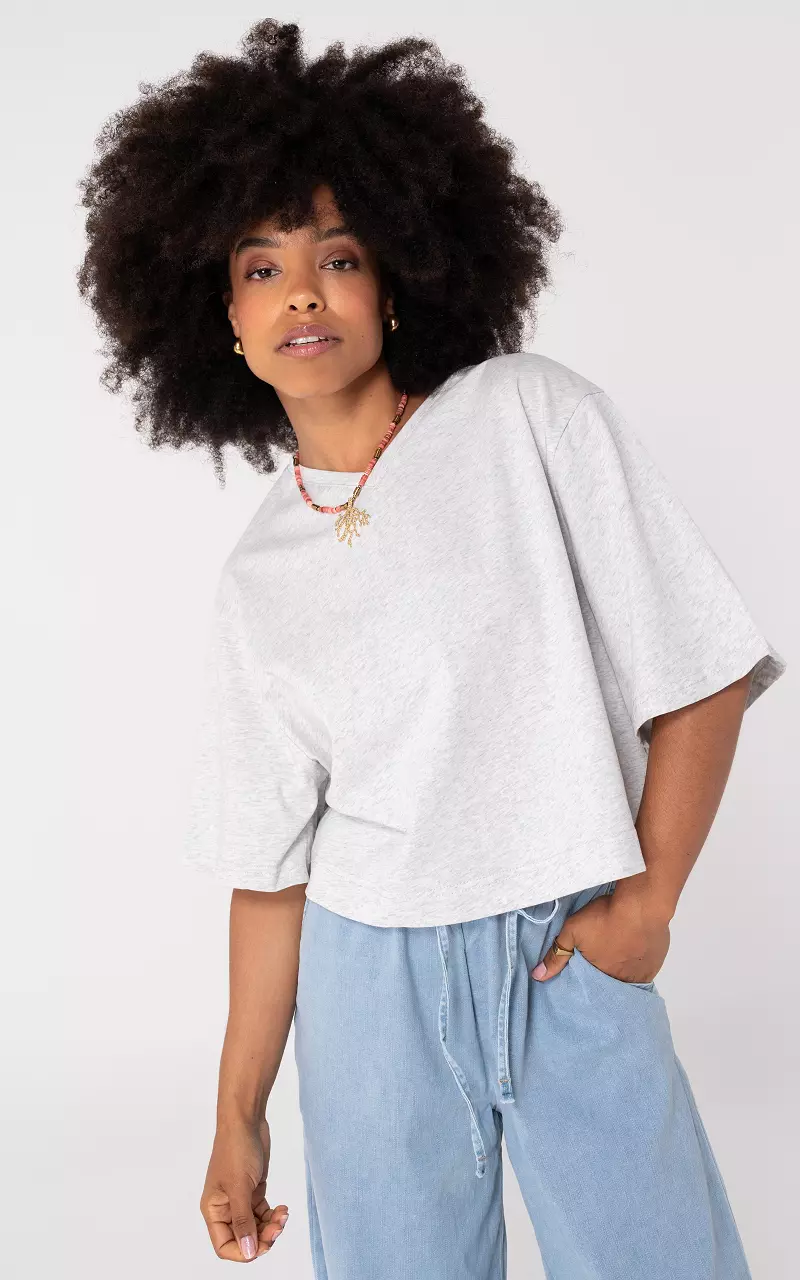 Shirt met v-hals Lichtgrijs