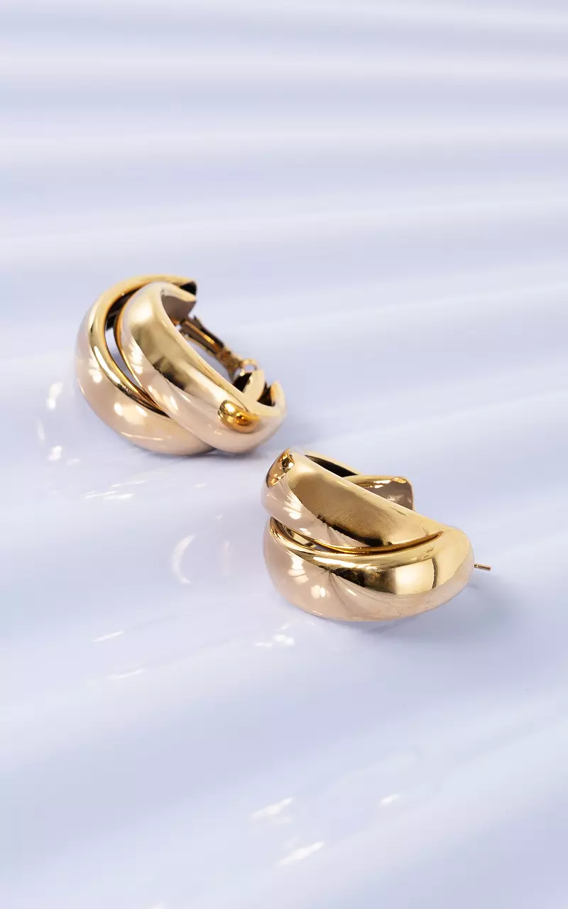 Oorbellen Goud
