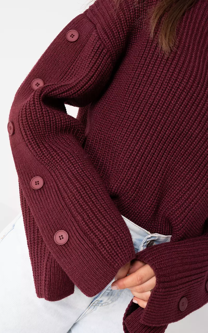 Rollkragenpullover Bordeaux