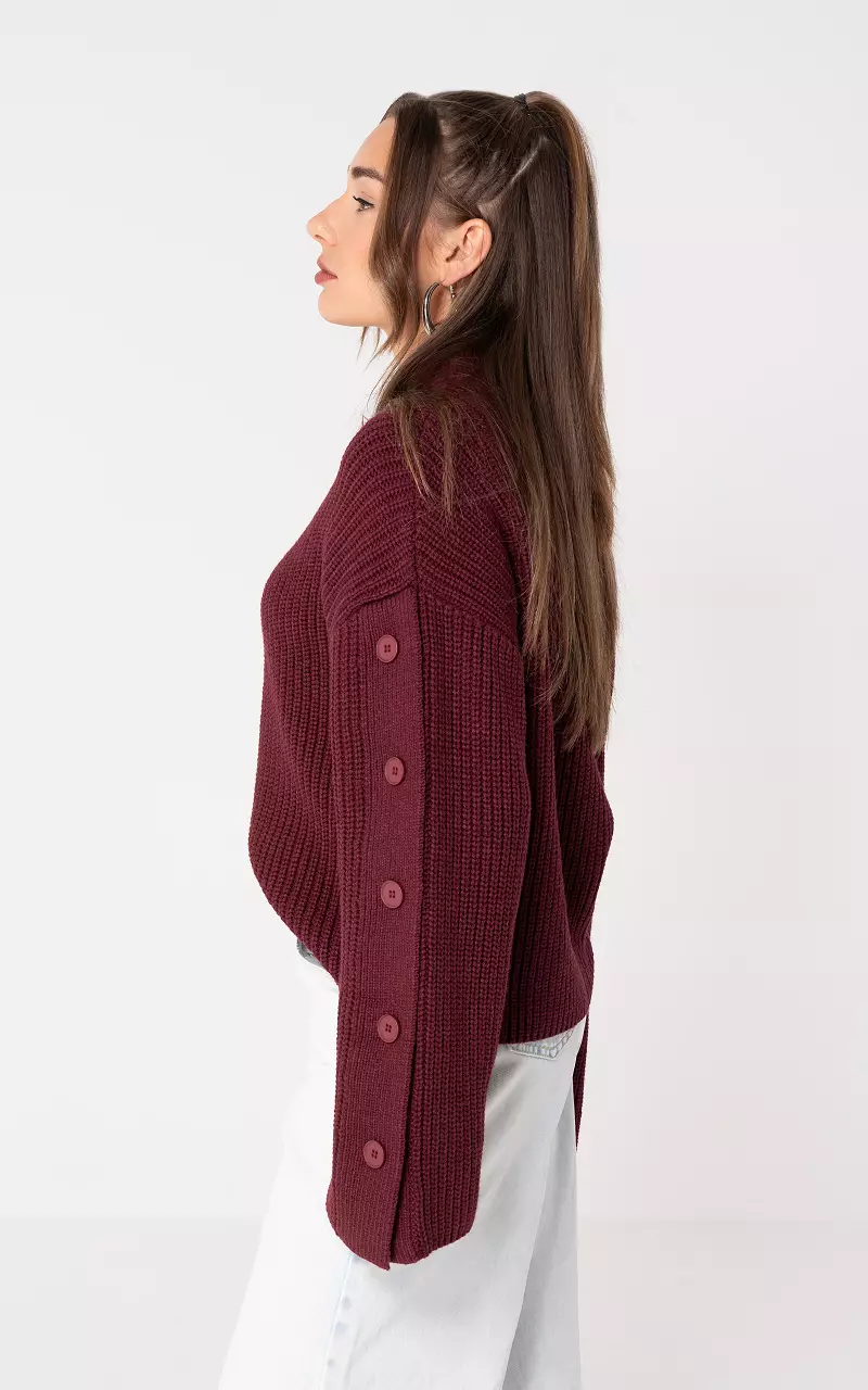 Rollkragenpullover Bordeaux
