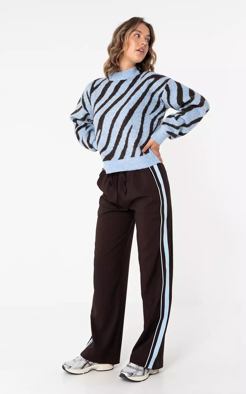 Pants with stripe Dark Brown Light Blue