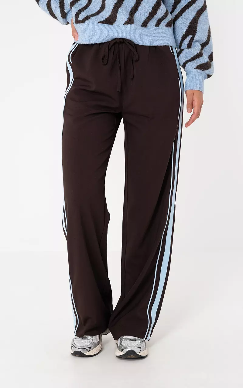 Pants with stripe Dark Brown Light Blue