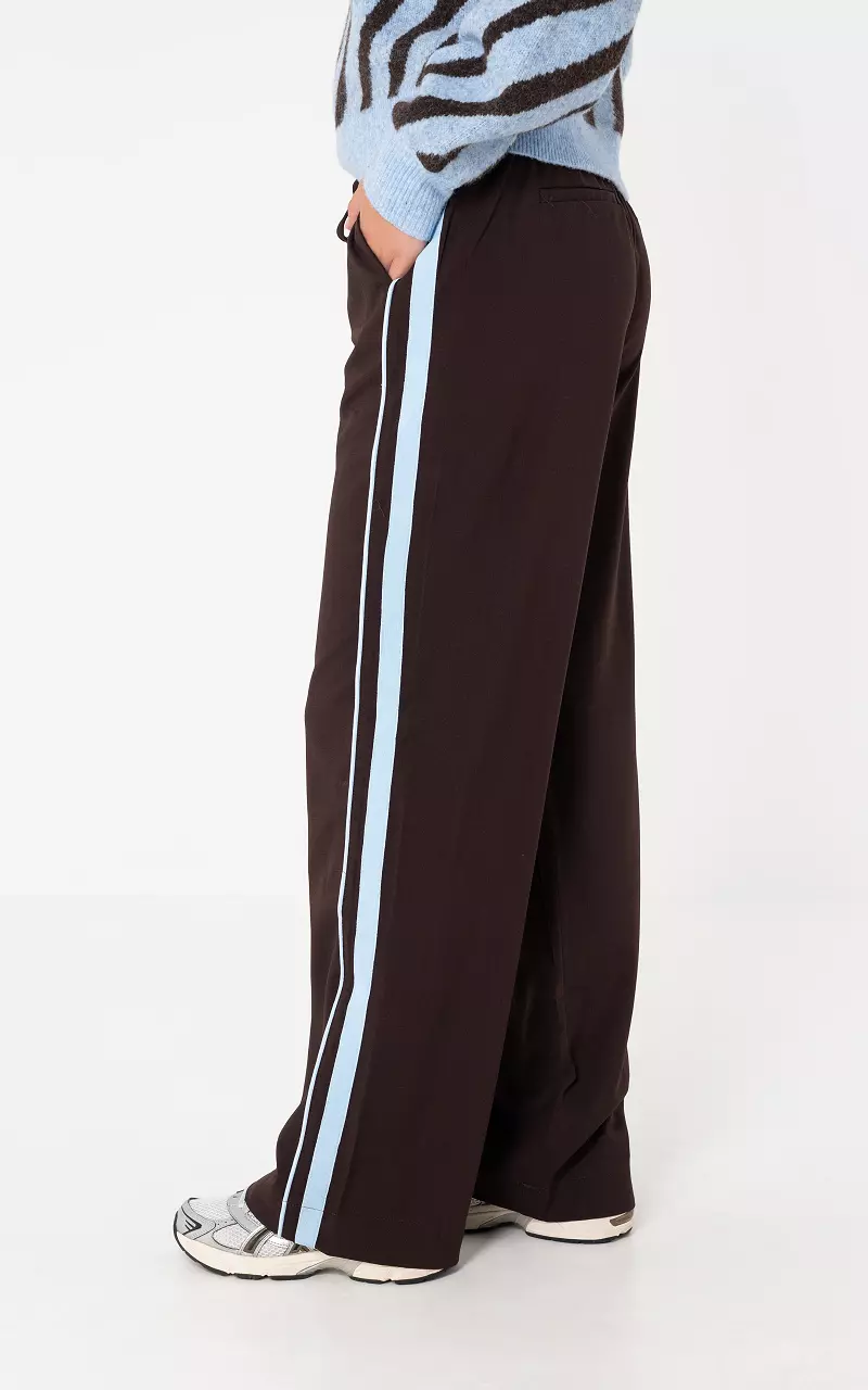Pants with stripe Dark Brown Light Blue