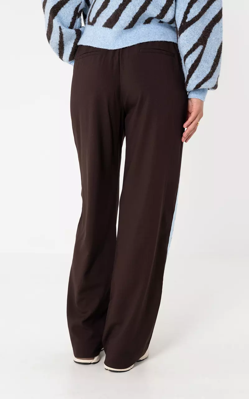 Pants with stripe Dark Brown Light Blue