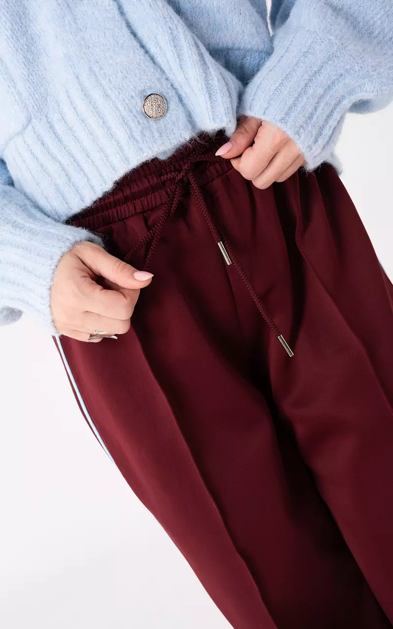 Trousers with stripe Bordeaux Light Blue