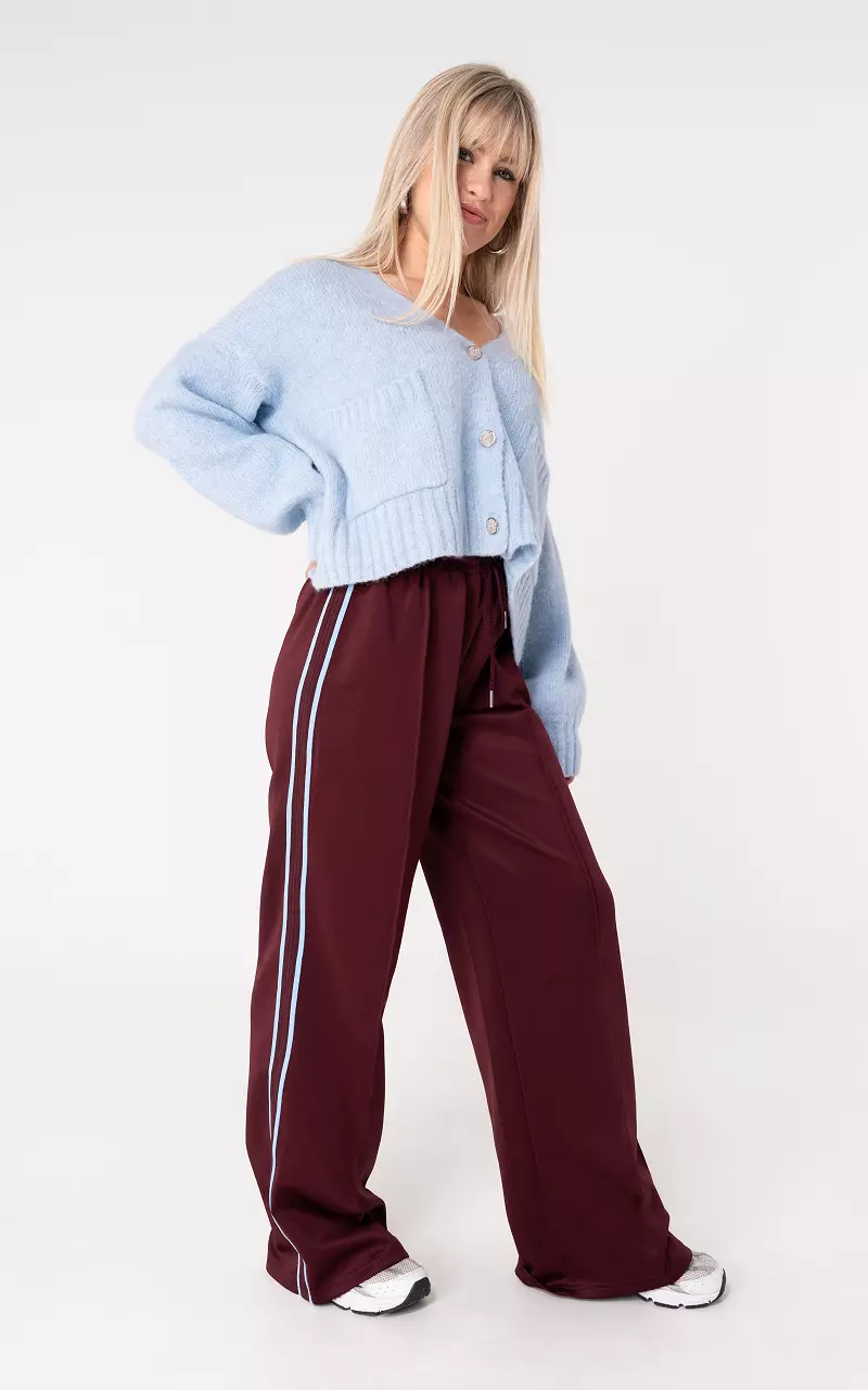 Trousers with stripe Bordeaux Light Blue