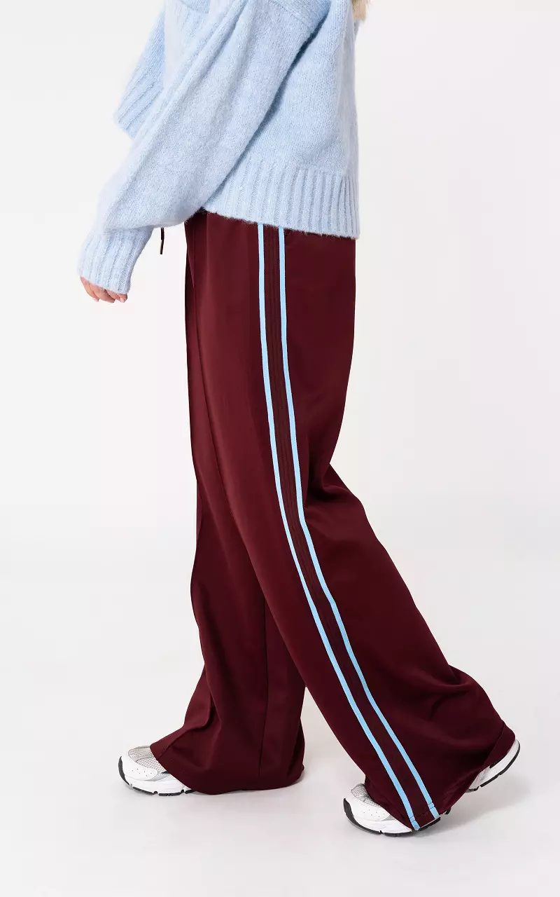 Trousers with stripe Bordeaux Light Blue