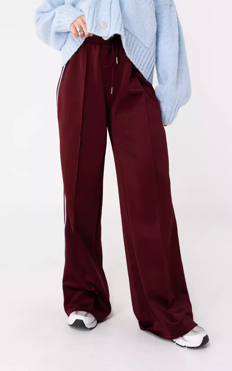 Hose mit Streifen Bordeaux Hellblau