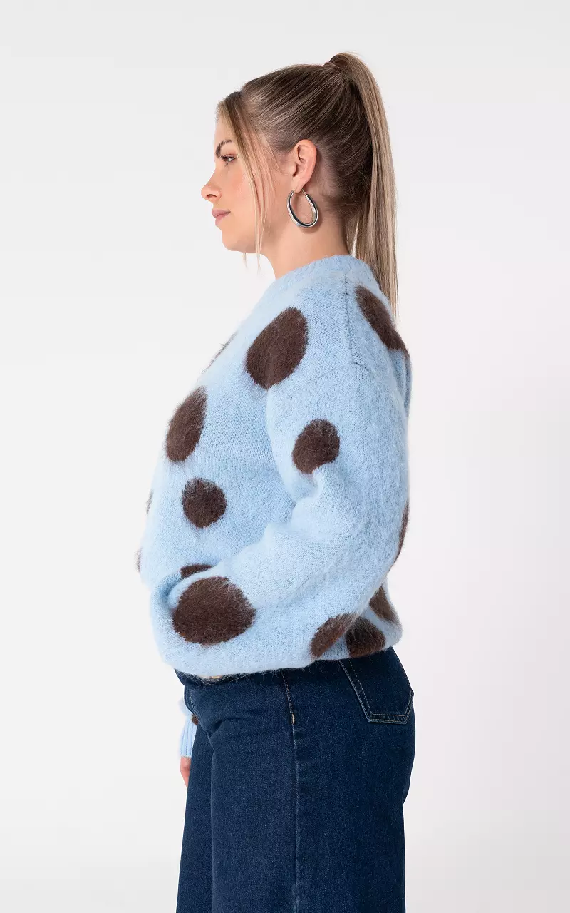 Sweater with dots Light Blue Brown