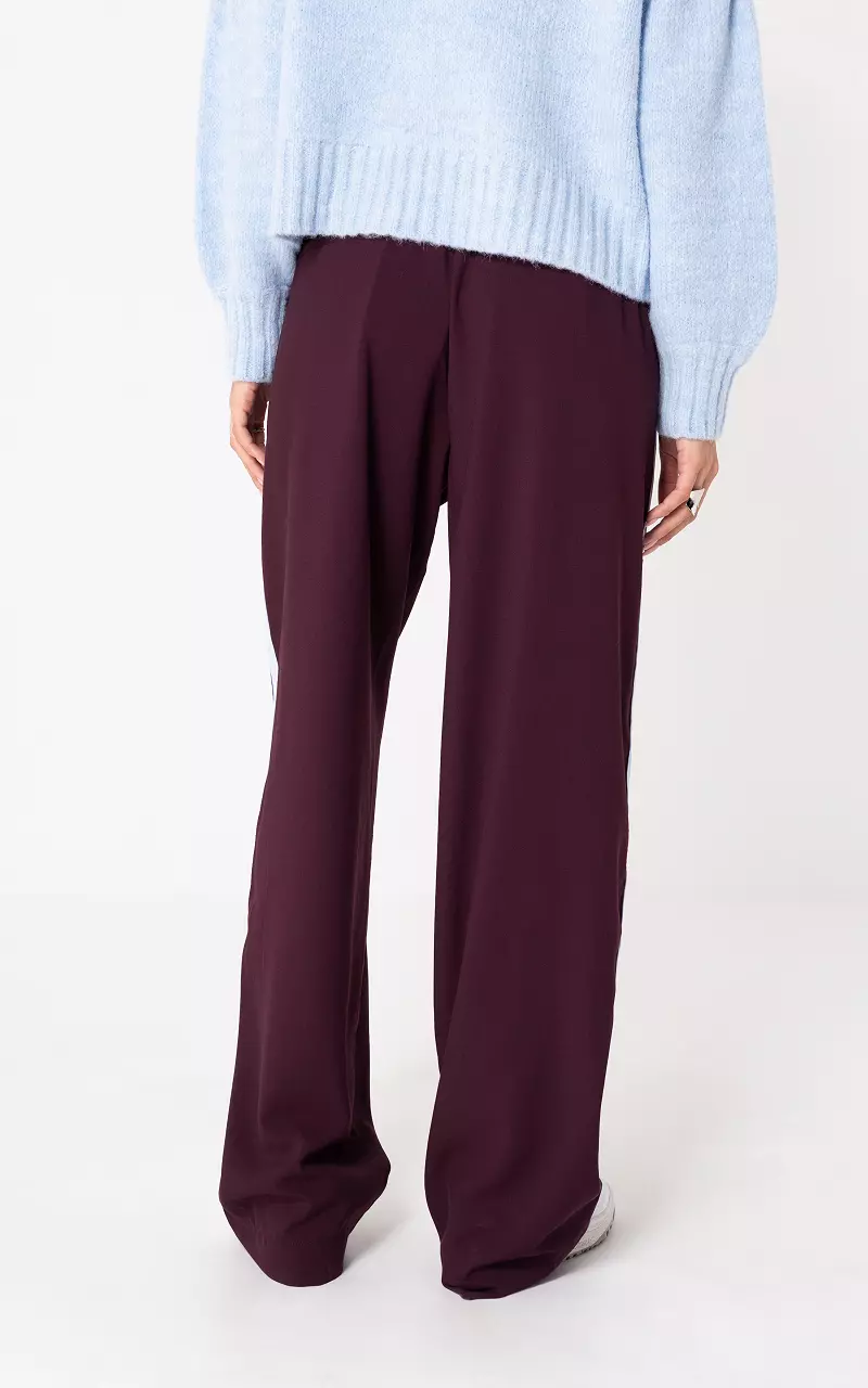 Pants with stripe Bordeaux Light Blue