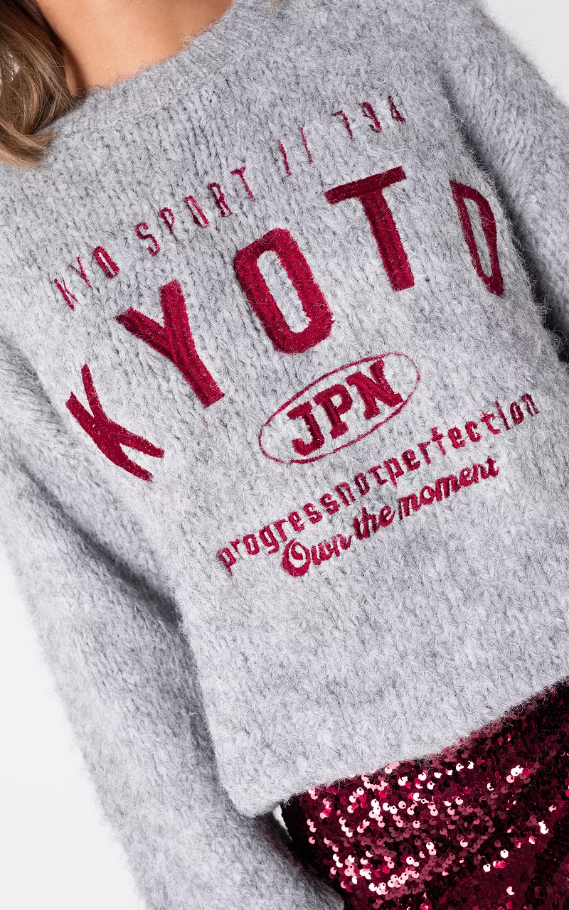 Pullover mit Rundhalsausschnitt Hellgrau Bordeaux