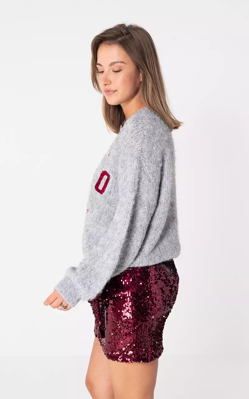 Pullover mit Rundhalsausschnitt Hellgrau Bordeaux