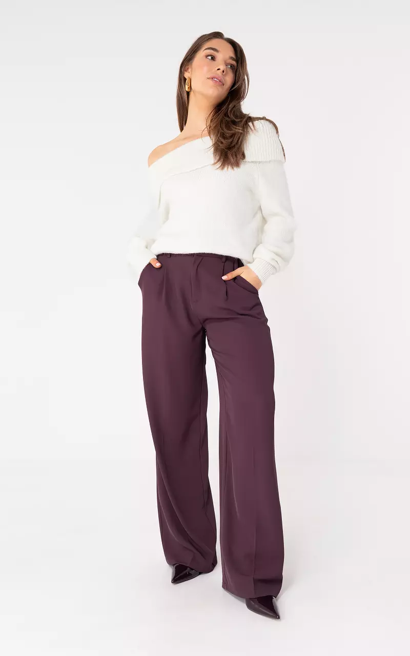 Straight Fit Hose Dunkellila