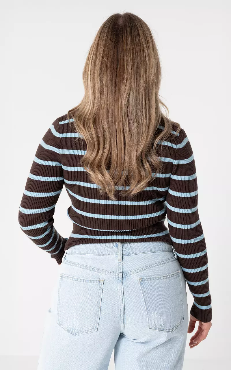 Gestreiftes Top Braun Hellblau