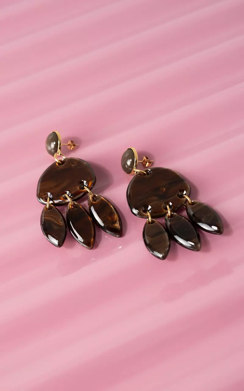 Oorbellen Bruin Goud