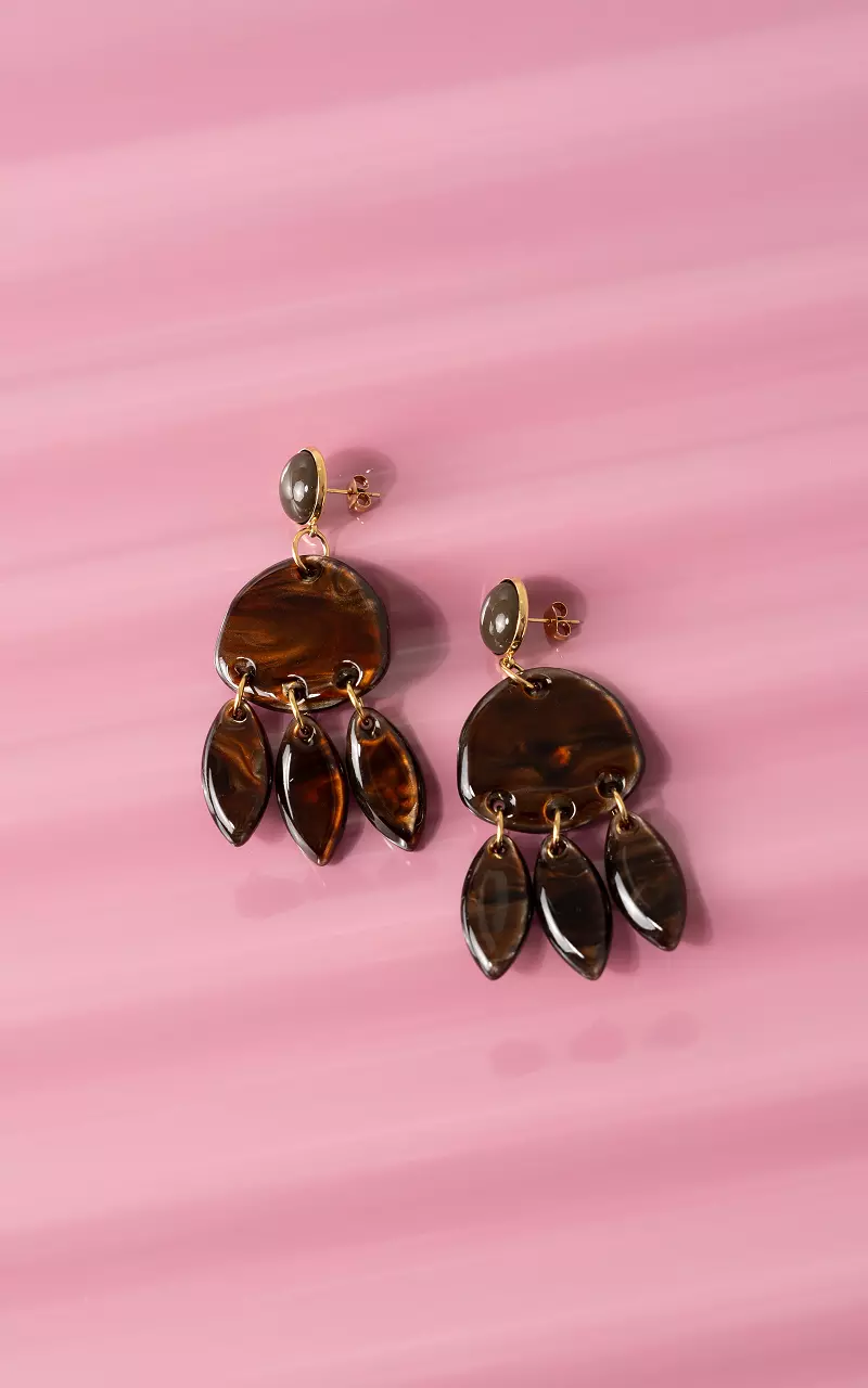 Oorbellen Bruin Goud