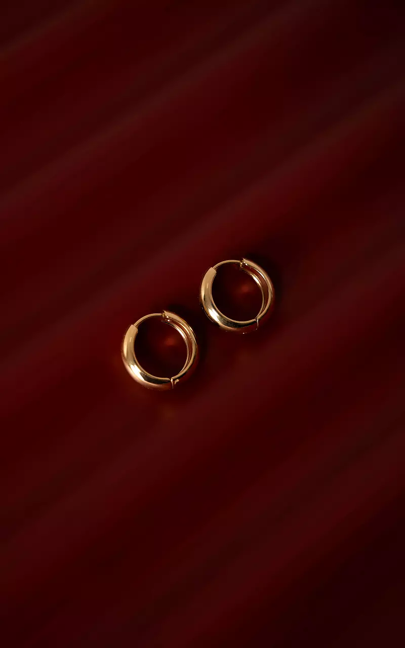 Geschlossene Ohrringe Gold