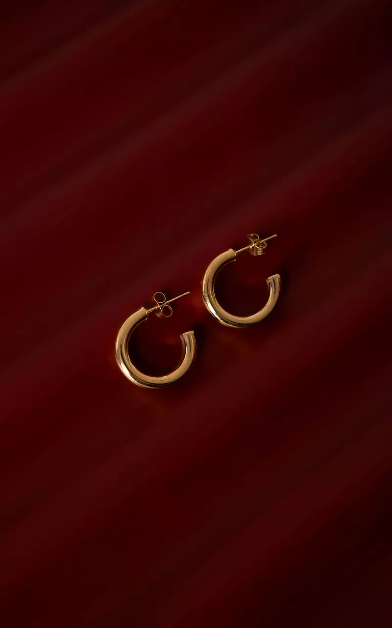 Geschlossene Ohrringe Gold