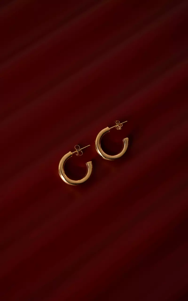 Geschlossene Ohrringe Gold