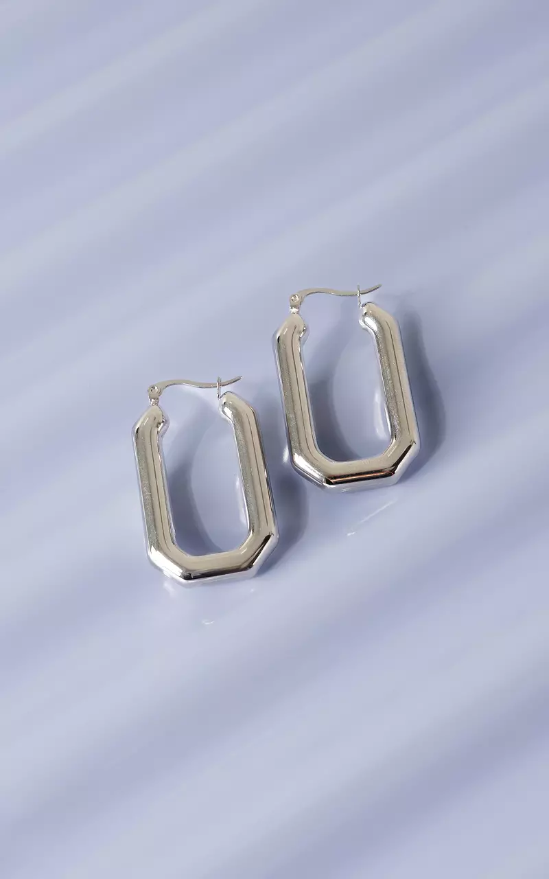 Earrings Silver
