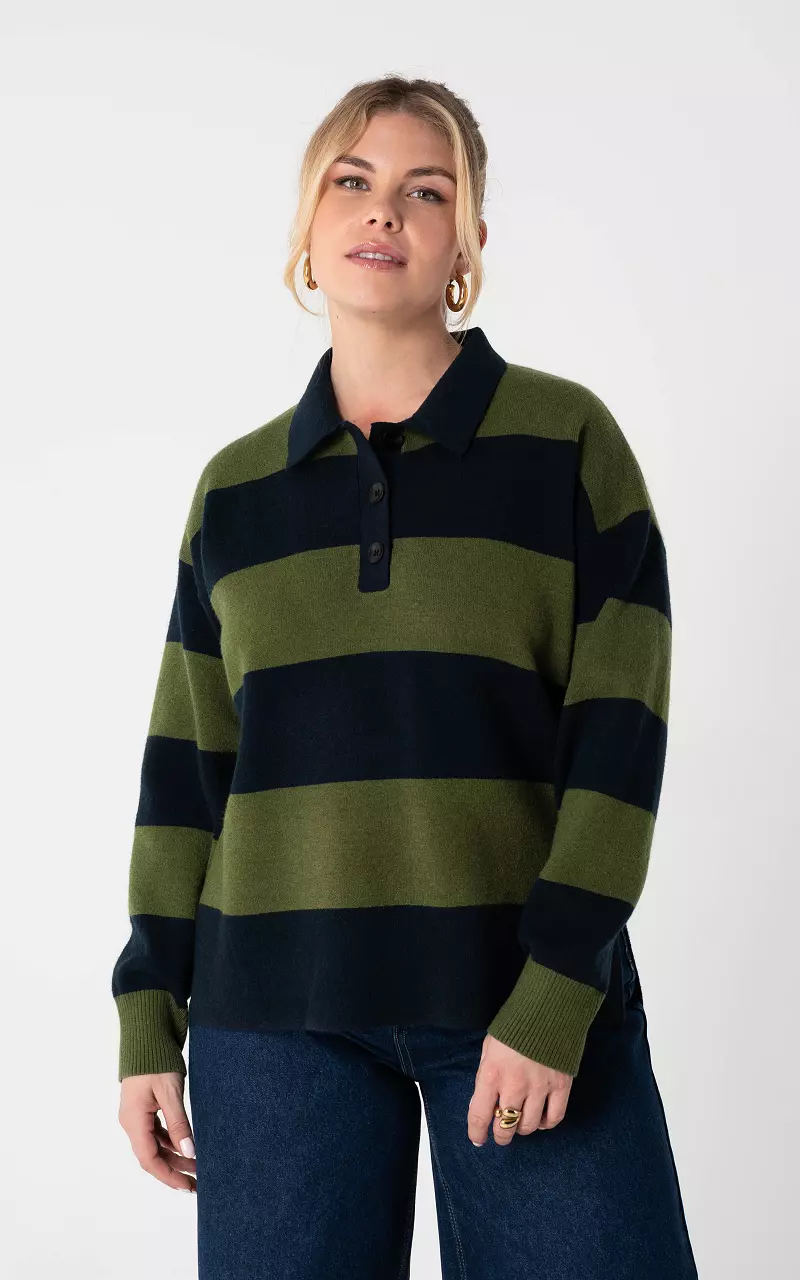 Pullover mit Kragen Dunkelblau Grün