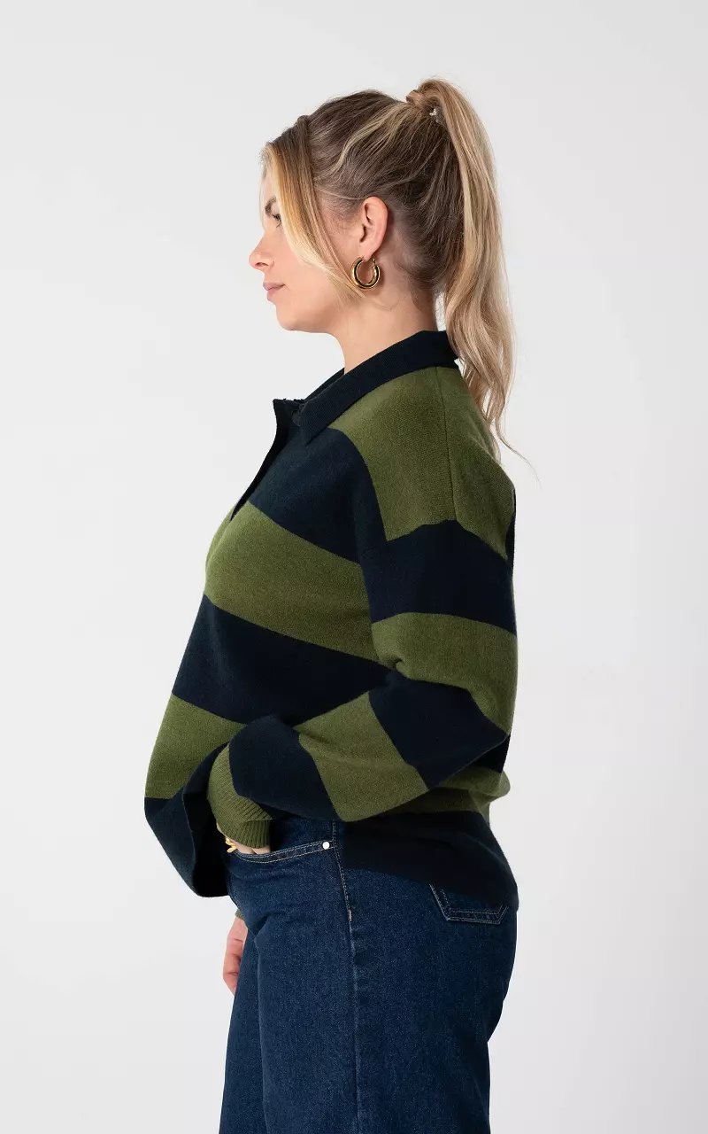 Pullover mit Kragen Dunkelblau Grün