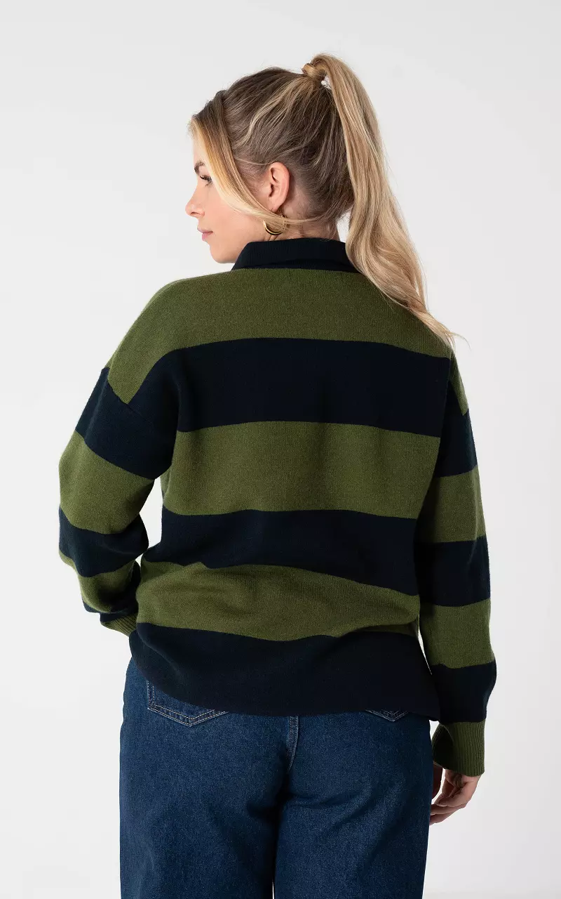 Pullover mit Kragen Dunkelblau Grün