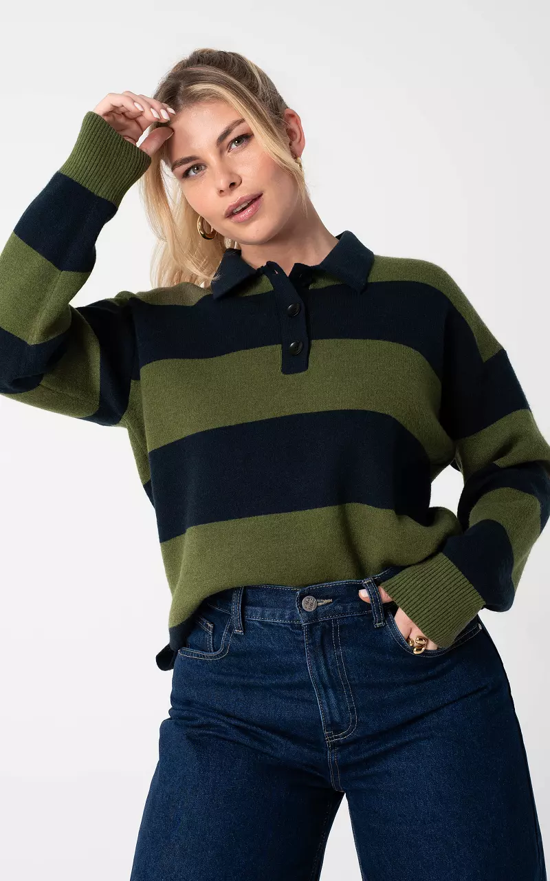 Pullover mit Kragen Dunkelblau Grün