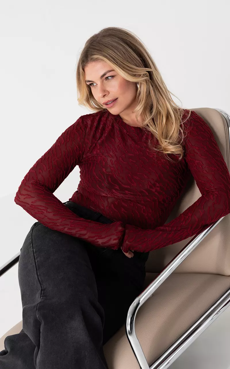 Transparentes Top Bordeaux