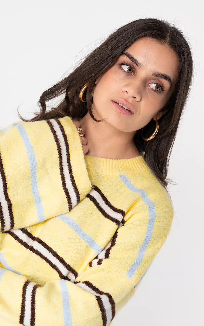 Pullover mit Rundhalsausschnitt und Streifen Hellgelb Dunkelbraun